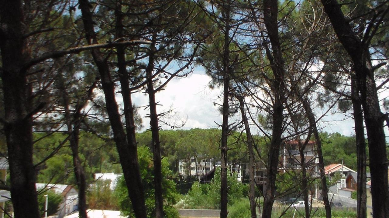 Hotel Temali 2 Velipojë Exteriör bild